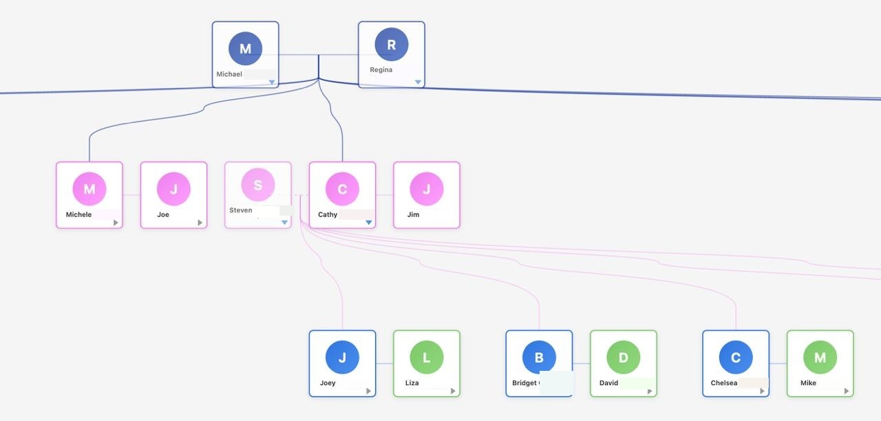 Wireframe of the family tree showing the person boxes connected across generations